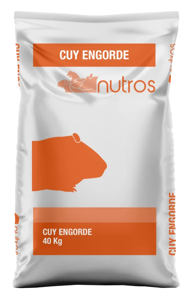 Cuy Engorde