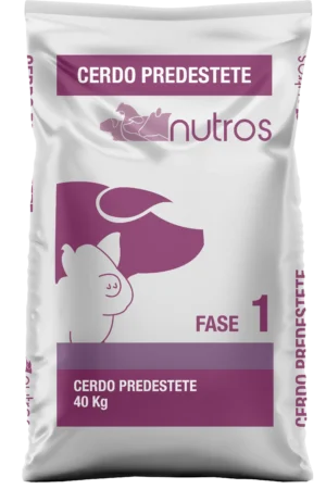 Cerdo Pre - Destete