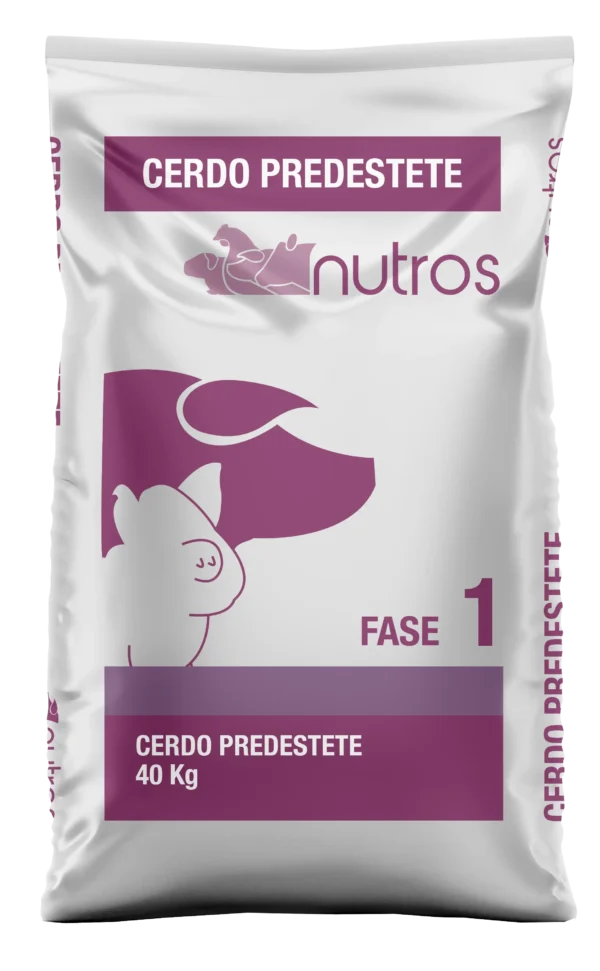 Cerdo Pre - Destete