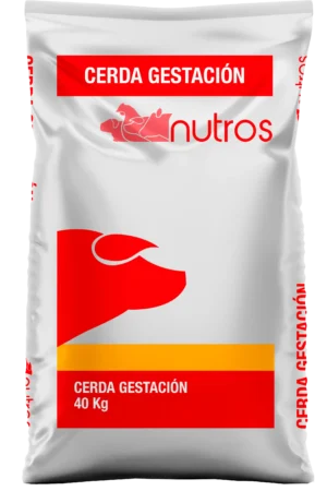 Cerda Gestación