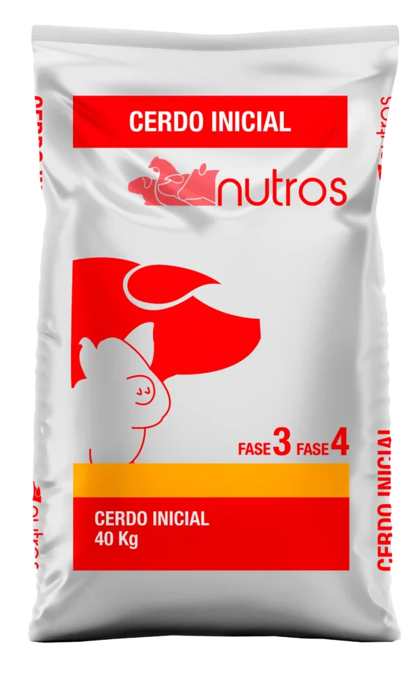 Cerdo Inicial