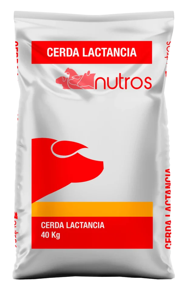 Cerda Lactancia