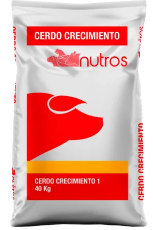 Cerdo Crecimiento 1