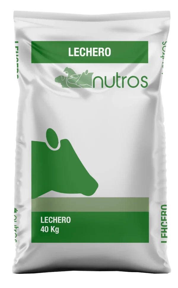 Lechero
