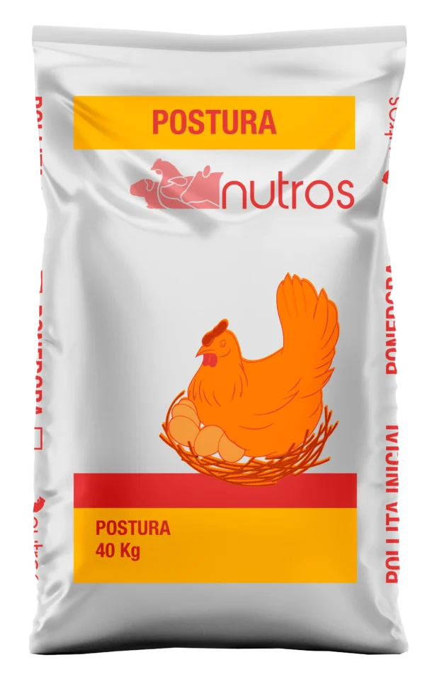 Gallinas de Postura