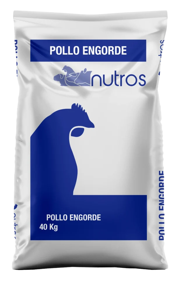 Pollo Engorde Rendidor