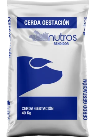 Cerda Gestación Rendidor