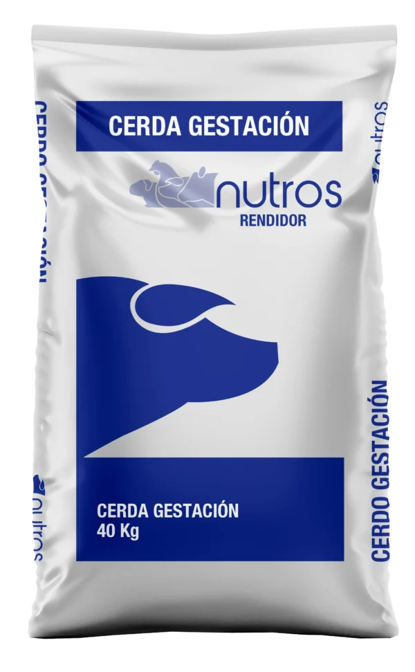Cerda Gestación Rendidor