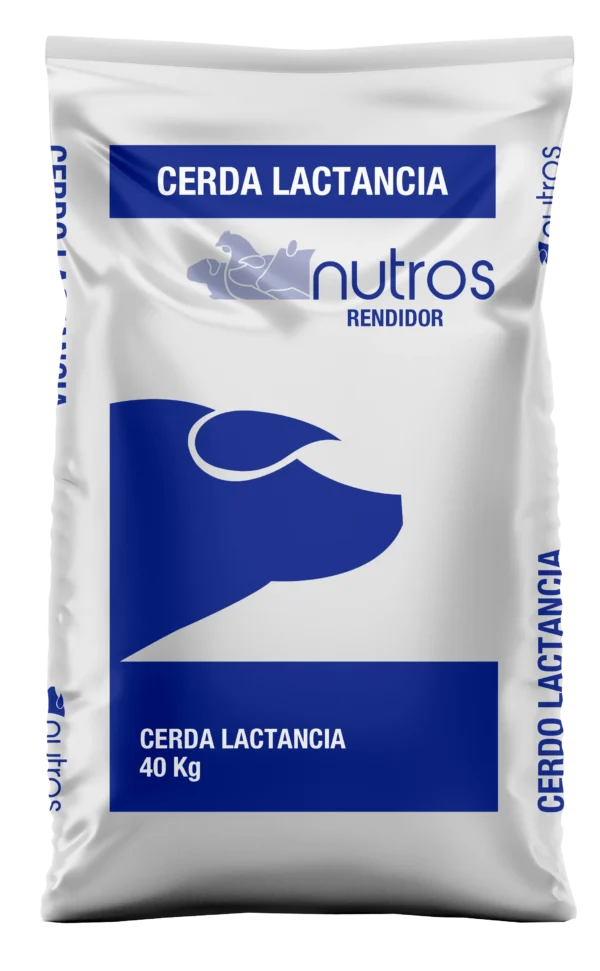 Cerda Lactancia Rendidor