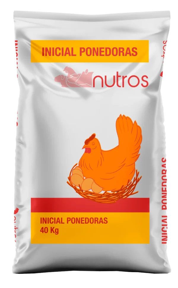 Inicial Gallina Ponedora