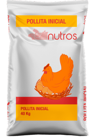 Pollita Inicial