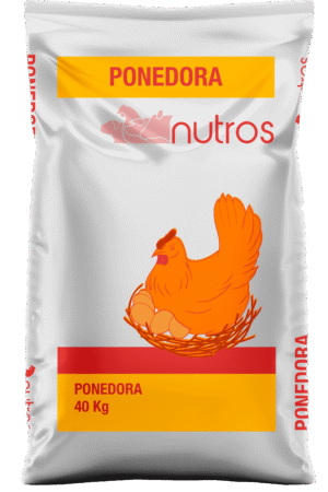 Ponedora